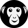 Brand Identity and Logo - Bonoboz Marketing Services 
