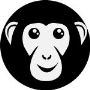 Ecommerce Website Development Company - Bonoboz 