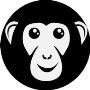 Best SEO Company in India - Bonoboz.in