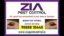 Zia Pest control | Bedbug Treatment | Rodent | 1981 Bedbugs 