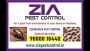 Say goodbye to these pesky insects