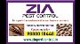 AMC is also available Price Cockroach Pest cleaning service