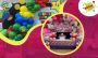 Celebrate Milestones: Best 1st Birthday Party Spots