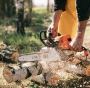 Bothell Tree Services Bothell Tree Services