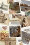 Inspiring Travel Stories from Nomads, Wanderers, and Explore