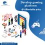 Software Development Services