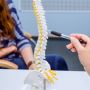 Discover Natural Relief with Spine Doctor Calgary