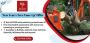 Winter Wonders: Save 20% on Tree Removal in Clarence and Buf