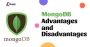 MongoDB: Advantages and Disadvantages