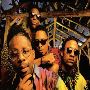 Brand Nubian Merch
