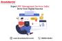 Expert PPC Management Services India: Drive Your Digital Suc