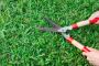 Premier Lawn Maintenance Services in Brantford