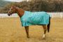 Unleash Your Horse's Potential with Premium Attire