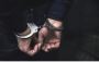 要寻求专业的法律解决方案，请选择顶级悉尼律师事务所