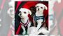 Top Pet Dental Care Services in New York City You Can Trust