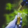 Buy Delta 8 Tincture 300mg & get delivery in Florida Buy Delta 8 Tincture 300mg & get delivery in Florida
