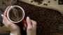 Fresh Coffee Beans from Bristol Coffee Company – Experience 