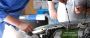 Joondalup Car Repair Service That Prioritizes You and Your V