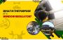 The Purpose of a Window Regulator: A Comprehensive Guide