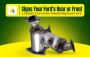 Signs Your Ford’s Rear or Front Catalytic Converter Needs 