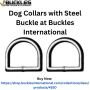 Dog Collars with Steel Buckle at Buckles International