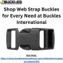 Stainless Steel Draw Latch & Clasps at Buckles International