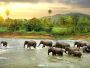 Book a Holiday Package with Exclusive Group Deals