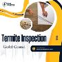 Comprehensive Termite Inspection in Gold Coast 