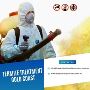 Termite Treatment Gold Coast – Effective Protection for Your