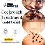 Effective Cockroach Treatment in Gold Coast – Say Goodbye