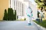 Effective Flea Control Services in Gold Coast