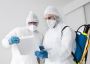 Professional Rodent Control Services in Gold Coast Professional Rodent Control Services in Gold Coast
