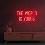 Custom LED Neon Signs