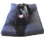 Chew Resistant Dog Bed- Why should you Buy them?