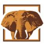 Top Notched Burma Teak Supplier & Distributer – Burmese Gold