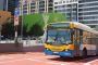 Reliable Wedding Bus Hire in Brisbane and Beyond