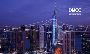 DMCC Trade License