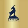 Business Consultation Services in Indiana - Skyview Business