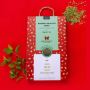Buy Shubh Saanjh Chai Mint Green Tea Online at Best Price