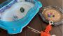 Beyblade Games_Flat 50% OFF & FREE MYSTERY GIFTS On All Beyb Beyblade Games_Flat 50% OFF & FREE MYSTERY GIFTS On All Beyb