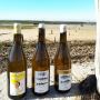 Sourcing Argentina wine for the best boozing experience?