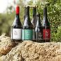 Relish exquisite Argentina Wine whenever you are in the mood