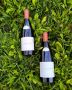 Where to Find Authentic Argentine Wines in Australia?