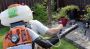 Find Your Exterminator Near Me Edmonton - Buzz Boss