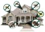 Seasonal Pest Protection Plans That Prevent Infestations