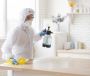 Year-Round Pest Solutions in Red Deer