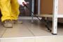 Professional Pest Control Service Designed for Your Unique N