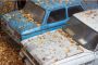 Cash for junk car Calgary Cash for junk car Calgary