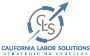 California Labor Solutions LLC