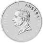 Perth Mint Silver Coins: A Smart Investment and Collector’s 